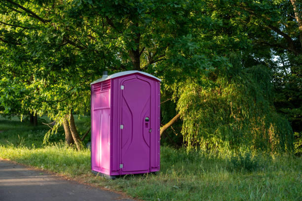 Best Affordable porta potty rental  in Aledo, IL